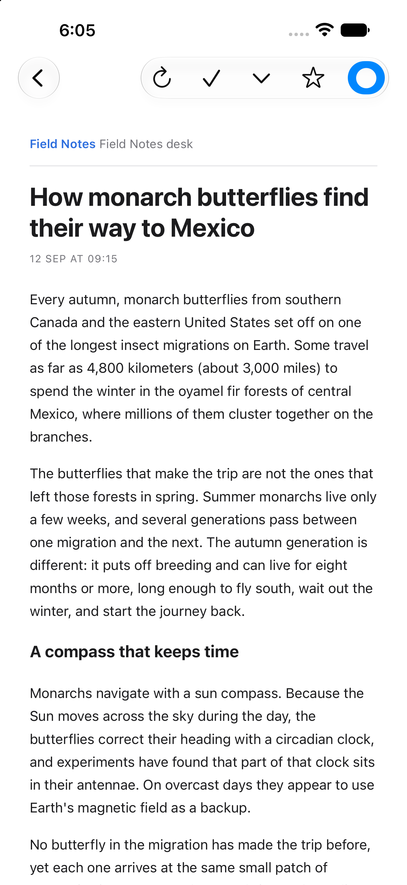 Article — iOS (UIKit) · iPhone